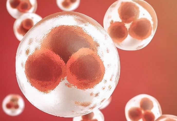 厦门有多家机构可以做试管