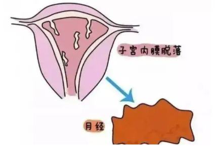 上海代生的基本条件上海试管婴儿医院_上海永远幸妇科医院