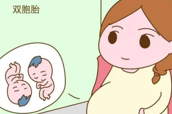 请问哪四种人做三代试管容易生下一对双胞胎呢？