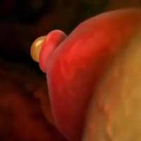 女性排卵有什么症状或感觉?身体这些信号别忽略