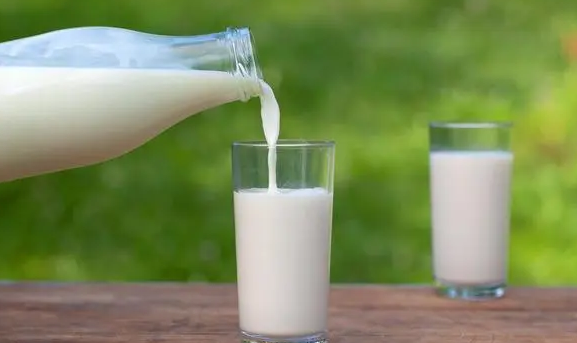 牛奶中富含益生菌