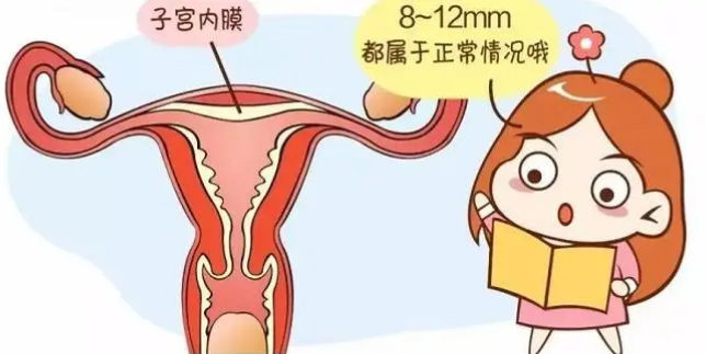 子宫内膜薄能做试管吗？