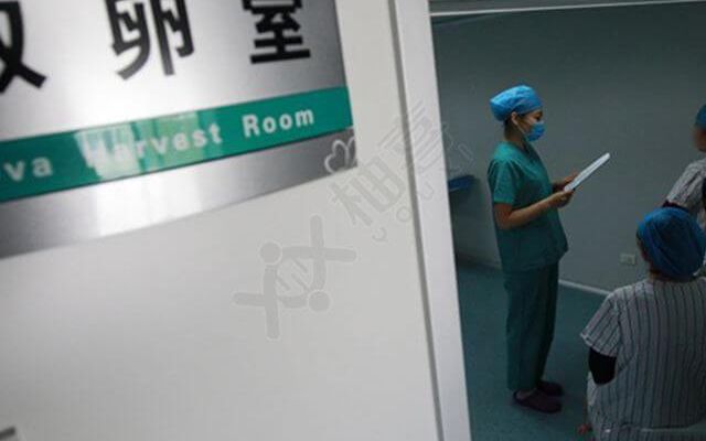 试管婴儿三次失败成功率还有多少_继续移植PK转策略
