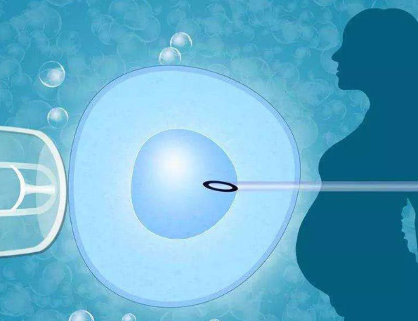 备孕期吃什么促进排卵可以吃药吗