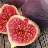 备孕期间吃无花果，这些好处你了解吗？