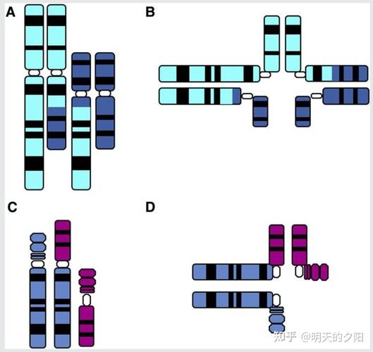 57岁想做试管婴儿还有机会吗？生殖中心咨询师终于说了大实话