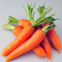 备孕期间梦见胡萝卜是生女儿的胎梦吗?