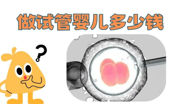四川二代试管价格