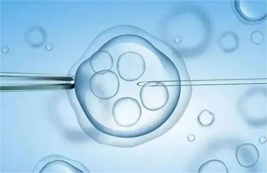 大陆的女同可不可以去台湾做试管生孩子？