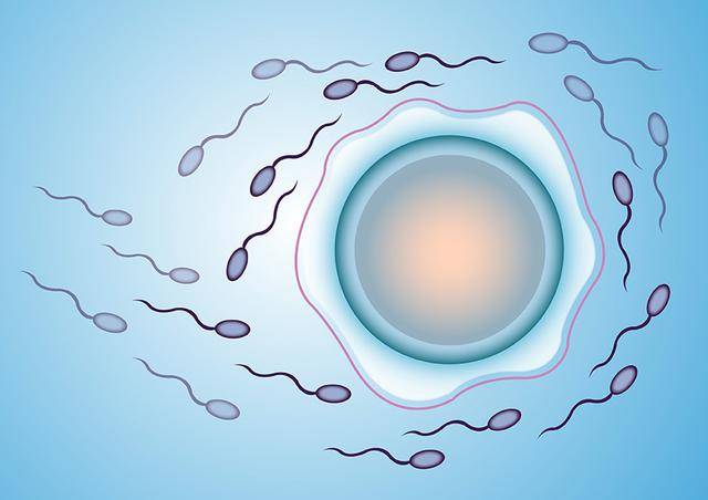 你知道为什么冻胚移植前要进行内膜准备吗?