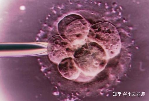 湖北试管婴儿医院排名较好的医院做一次多少钱？过来人帮你梳理6笔开销明细