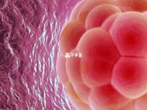 第二代试管婴儿操作流程到底分几步？生殖中心咨询师一次讲清