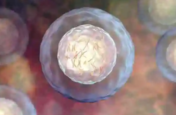 试管长方案促排时间1-2个月