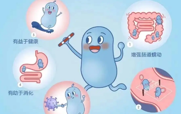 中国目前合格的益生菌盘点，有哪些产品看完就知道