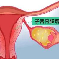 子宫内膜增生能做试管婴儿吗？我们来聊清楚