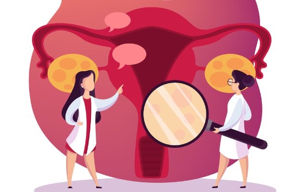 内膜0.5mm移植试管 内膜0.5mm移植试管