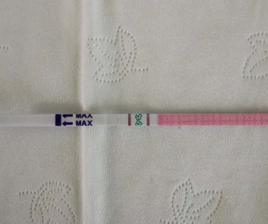强阳时同房怀男孩几率更大