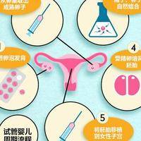 试管卵泡不成熟怎么办？别急着取消周期，三步排查再调理