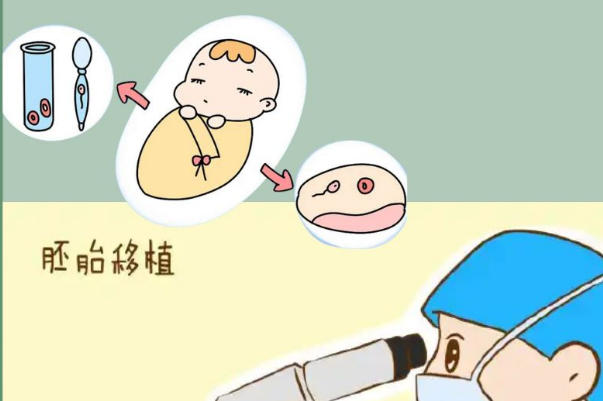 二胎移植囊胚的步骤和费用，整个流程从千元到数万元的花费