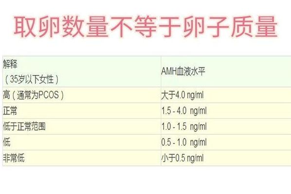 做试管需要什么条件才可以做成功?先看这三点硬指标