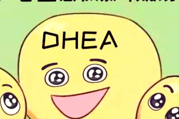  AMH正常一般不用补充DHEA