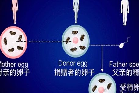 试管屡次失败的原因，别只怪胚胎质量