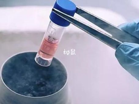 试管婴儿成功率多高？我33岁做两次说点大实话