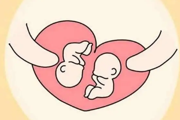 子宫偏小单角子宫试管能放两个胚胎