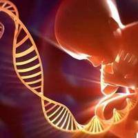 基因突变会遗传给下一代吗?基因突变与遗传