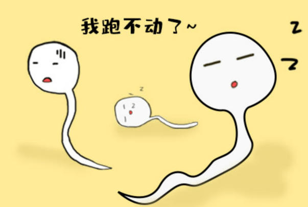 老公弱精症可以做一二代试管