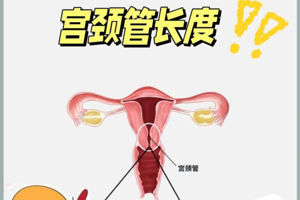 34周后不用担心宫颈长度了?具体还需要结合个体情况评估