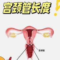 34周后不用担心宫颈长度了?具体还需要结合个体情况评估