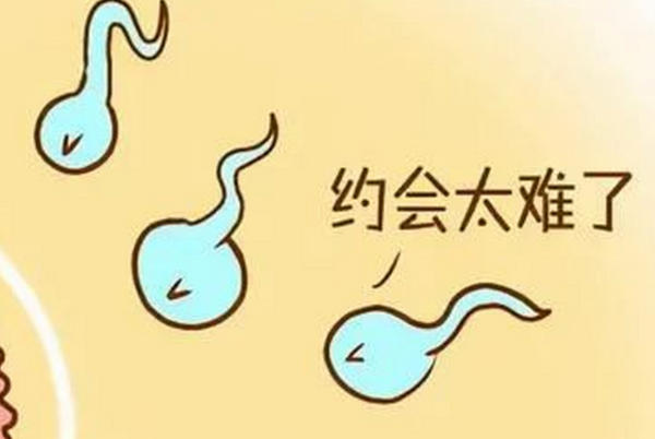 精子严重弱精可以做第二代试管