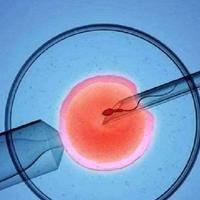 镰刀型细胞贫血症是什么遗传病?遗传类型与试管筛查指南