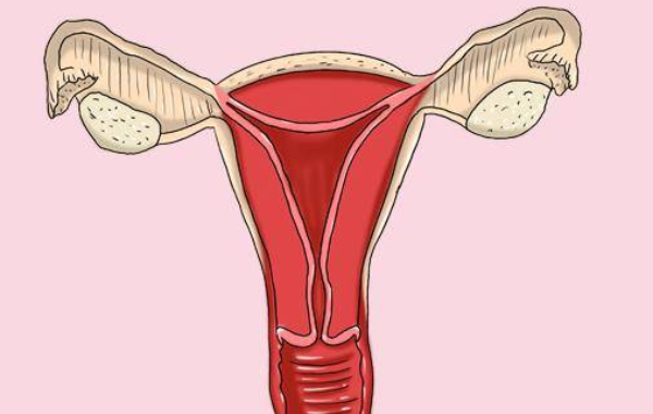 宫腔粘连不治疗对身体的影响