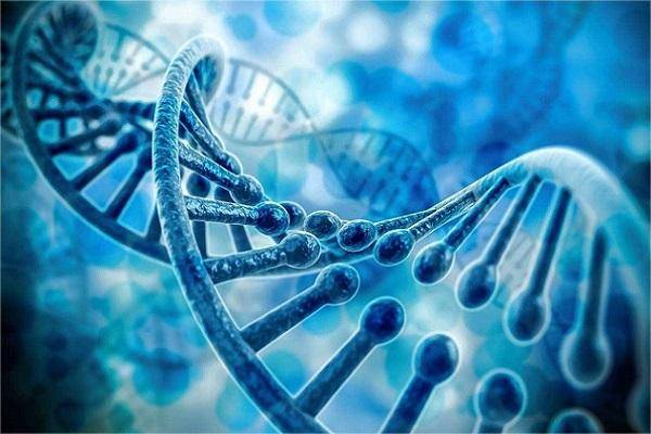无创DNA不能排除脊髓萎缩症