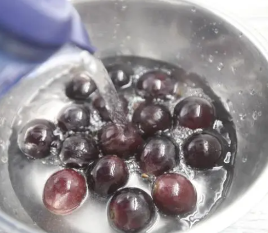 移植后吃葡萄要注意农药清洗