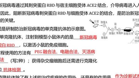 2025年允许单身试管地区