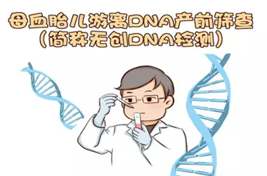 母血什么情况下验不出y染色体