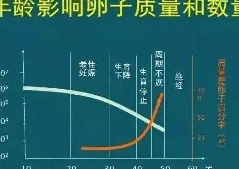 泰国试管婴儿成功几率多大?按你的年龄和胚胎等级评估才靠谱