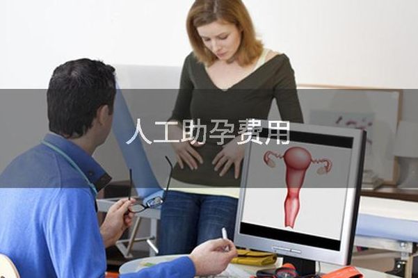 人工助孕费用是多少钱？过来人帮你梳理6笔开销明细