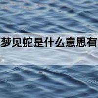 没怀孕女人梦见蛇是胎梦吗？试管费用多少钱价格过来人梳理明细