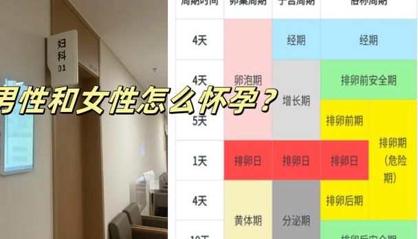 怀孕做春梦预示生男生女,试管决策先看这4个判断维度