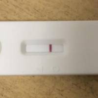 鲜胚移植第九天白板还有希望吗?别急着扔试纸听听怎么说