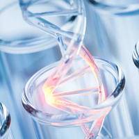 夫妻备孕基因检测多少钱，具体价格受项目与地域等影响