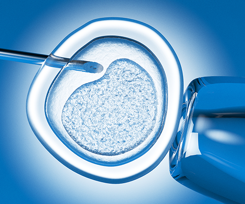 试管怎么决定移鲜胚还是冻胚，其决定标准是什么?