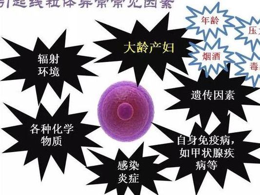 试管纳入医保什么时候启用报销？2026落地时间线来了
