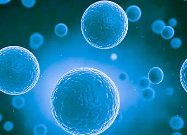 pgs的通过率和多个因素有关