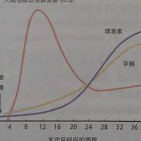 一般空囊hcg能涨到多高？5个判断维度帮你心里有底