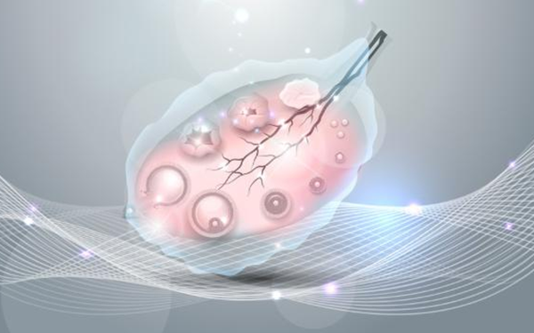 卵巢早衰只有两个卵泡是否足够怀孕